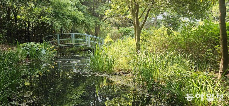 프랑스 지베르니 모네의정원을 본따 만든 남해 섬이정원의 모네정원. 남해=김선미 기자 kimsunmi@donga.com