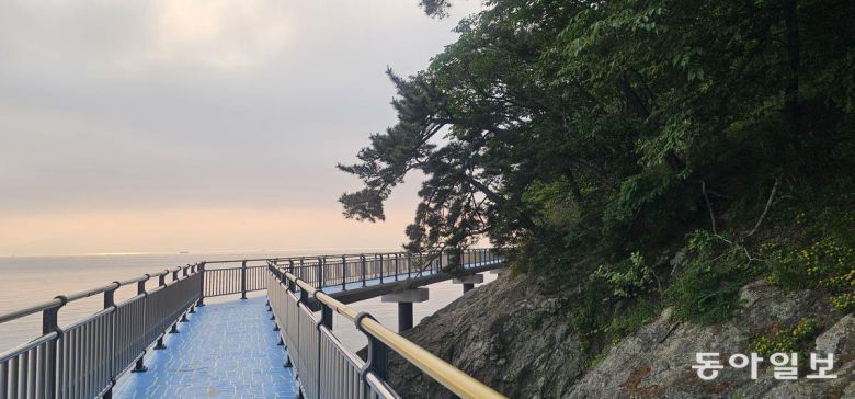 경남 남해의 숨은 산책명소인 선소해안산책로. 선소마을 지역협동조합이 운영하는 숙소 ‘선소 207’ 뒤편에서부터 시작해 소박한 어촌 풍경이 펼쳐진다. 남해=김선미 기자 kimsunmi@donga.com