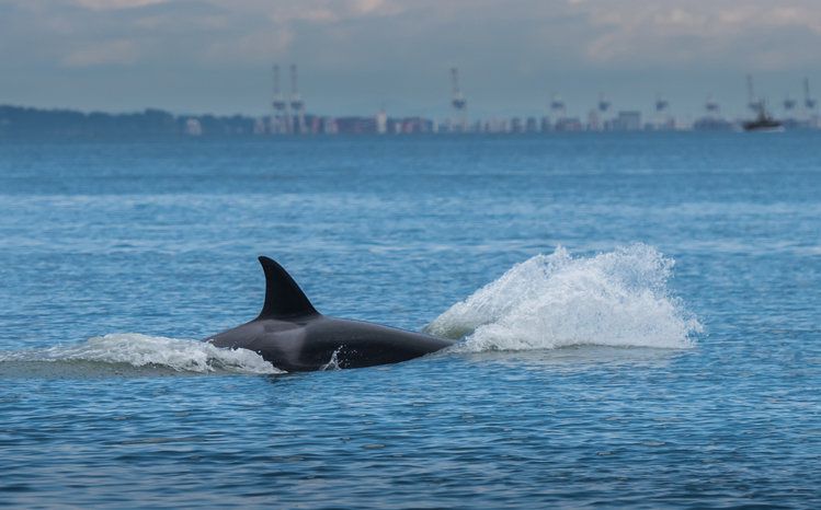 사진=게티이미지