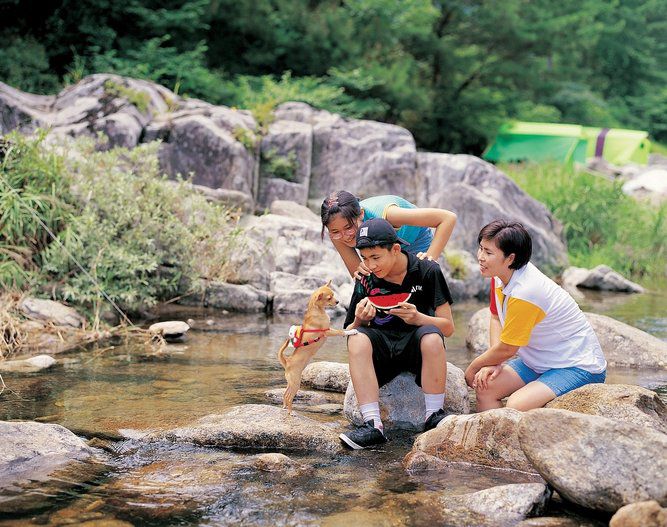 사진=게티이미지