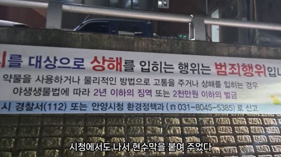 지난해 4월경 벌어진 학대 사건 이후 시청에서 부착한 현수막. 동물학대가 범죄 행위임을 분명히 명시하고 있다. (출처=유튜브 ‘오리 엄마’ 갈무리)