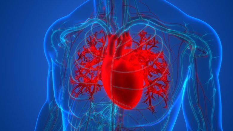 사진=게티이미지코리아.