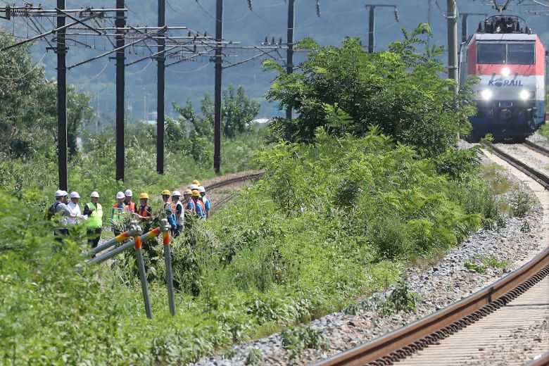 19일 오전 10시52분쯤 경북 청도군 화양읍 삼신리 경부선 철로에서 진주로 달리던 무궁화 열차가 선로에서 작업하던 근로자 7명을 치었다.  2025.8.19 / 청도소방서 제공