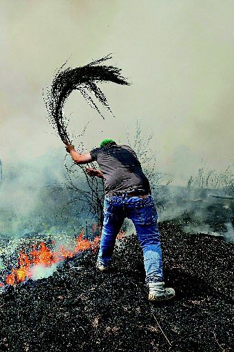 16일 스페인 북서부 베이가다스메아스에서 한 남성이 산불을 끄고 있다. 이상고온 여파로 스페인 곳곳에서 산불이 발생하고 있는 가운데 이달 3일부터 18일까지 최소 1149명이 폭염으로 숨졌다. 베이가다스메아스=AP 뉴시스