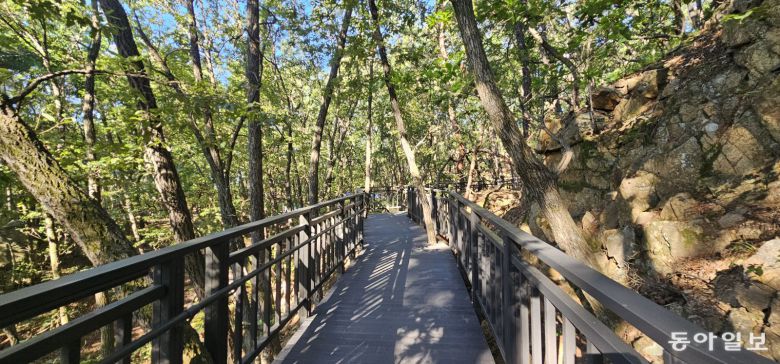 수락휴에서 이어지는 무장애숲길. 김선미 기자 kimsunmi@donga.com