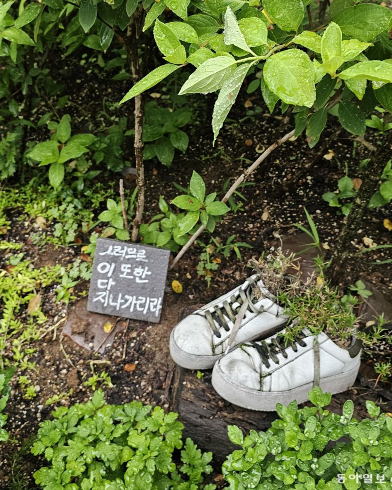 위로의 문구가 식물과 어우러지는 불암산 산림치유센터. 김선미 기자 kimsunmi@donga.com