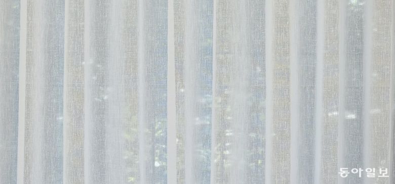 수락휴 객실에서 블라인드를 내리자 하늘과 숲이 들이비쳤다. 아그네스 마틴의 그리드를 연상시켰다. 김선미 기자 kimsunmi@donga.com