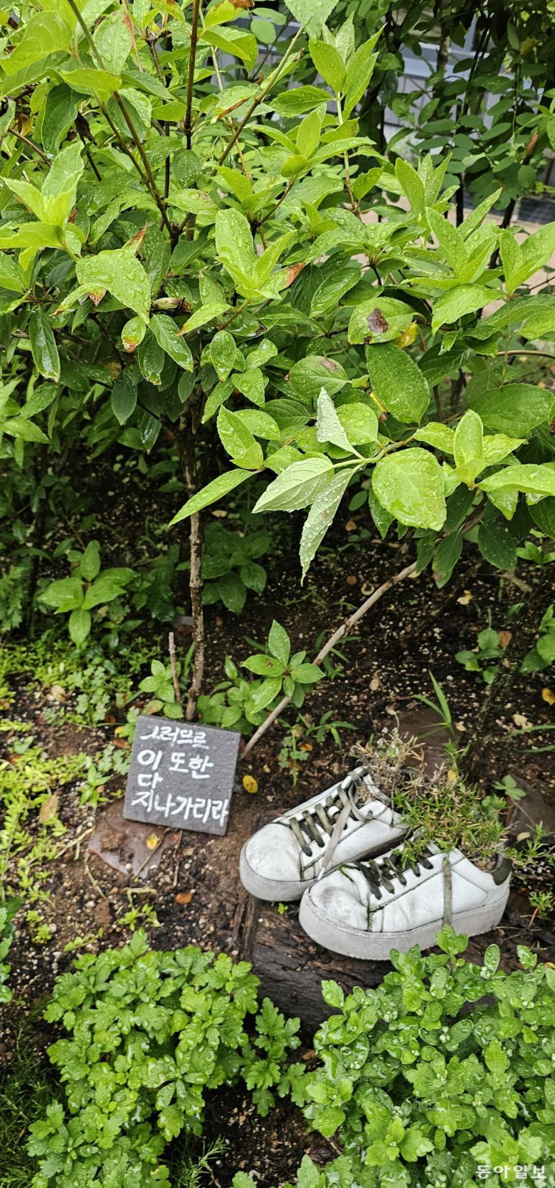 위로의 문구가 식물과 어우러진 불암산 산림치유센터 정원.