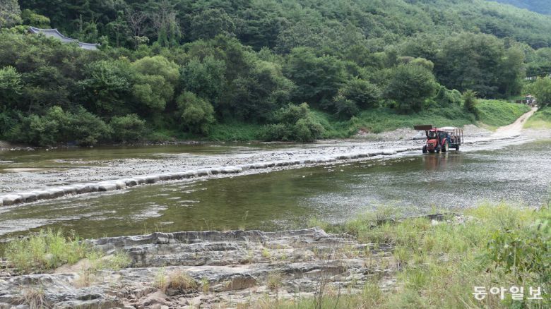 안동 맹개마을에서 농암종택으로 이어지는 징검다리. 최근에 놓았다. 보통은 맹개마을 주인이 트랙터를 개조한 차량에 방문객을 태우고 물길을 가로지른다. 주로 양조장 투어 참가자나 주인 부부가 운영하는 펜션 숙박객들이다.