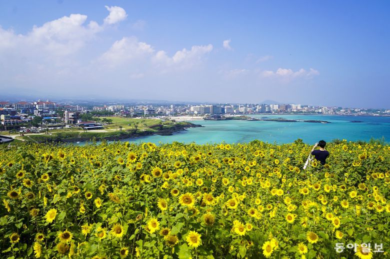 제주시 조천읍 함덕리 서우봉에서 바라본 해변. 제주도 보건환경연구원은 올해 상반기 제주지역 황사 관측 일수가 1일에 그쳤다고 밝혔다. 제주도 제공
