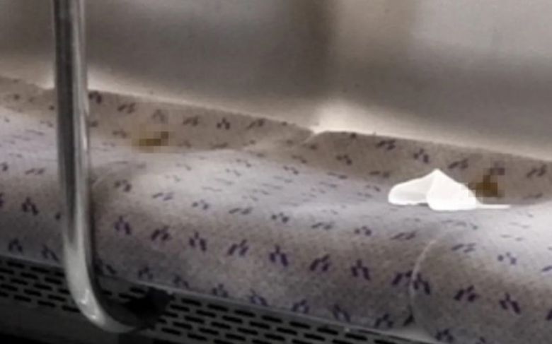 사진출처=보배드림