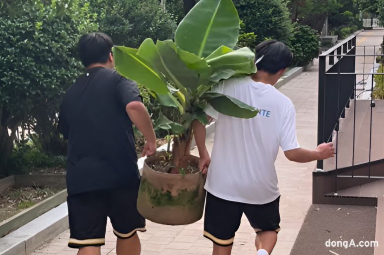 사진=독자제공, 최강주 기자 gamja822@donga.com