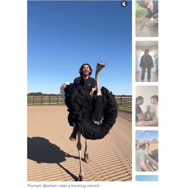 오픈AI가 공개한 소라 앱의 AI 제작 영상들. ‘@rohan rides a bucking ostrich’라는 프롬프트를 입력하면 ‘rohan’이란 아이디의 인물을 주인공으로 한 타조 타는 영상을 만들 수 있다. 오픈AI 제공