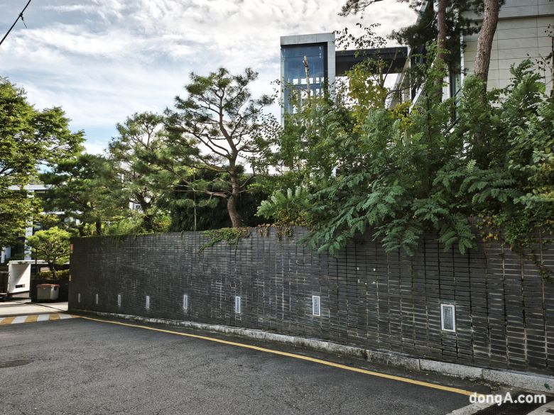 샤오미 15T 프로로 직접 찍은 사진 샘플.