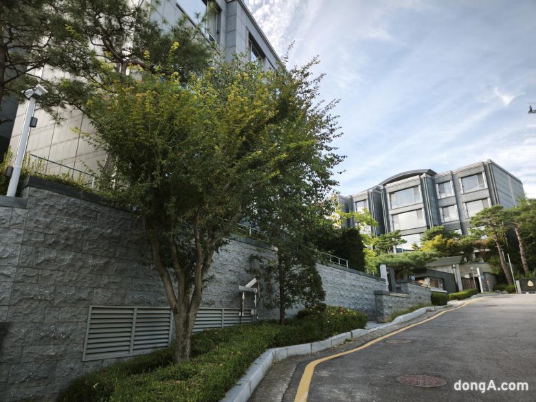 샤오미 15T 프로로 직접 찍은 사진 샘플.