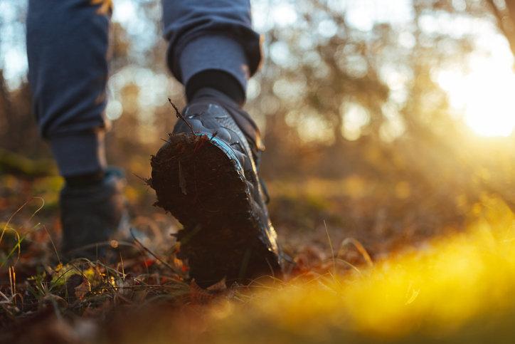 사진=게티이미지코리아.