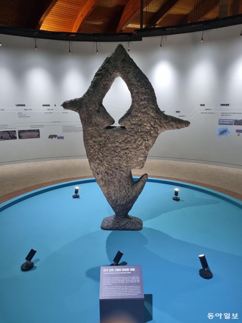 반구대 암각화의 그림 가운데 가장 유명한 고래 그림이 울산암각화박물관에 조형물로 새롭게 만들어져 있는 모습. 어미 고래가 새끼 고래가 숨을 잘 쉴 수 있도록 등에 업고 다니는 모습을 그린 것으로 보는 견해가 많다. 울산=김도형 기자 dodo@donga.com