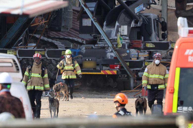 7일 오후 울산 남구 동서발전 울산화력발전소 보일러 타워 붕괴현장에서 소방대원이 구조견과 함께 매몰자 수색 및 구조작업을 벌이고 있다. 2025.11.7 뉴스1