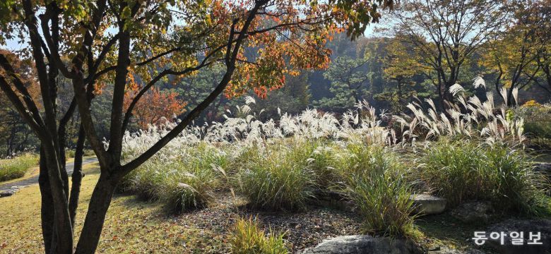 옛돌정원. 용인=김선미 기자 kimsunmi@donga.com