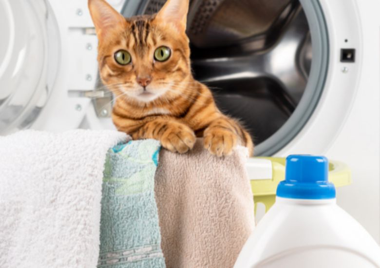 사용기한이 지난 세제는 세척력 저하와 세탁기 내부 잔여물 축적 등 다양한 문제를 일으킨다. 세제 유형별 권장 사용 기한이 다르며, 뚜껑을 닫고 서늘하고 건조한 곳에 보관해야 한다. 사진=게티이미지뱅크.