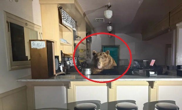 사진=엘도라도 카운티 보안관실