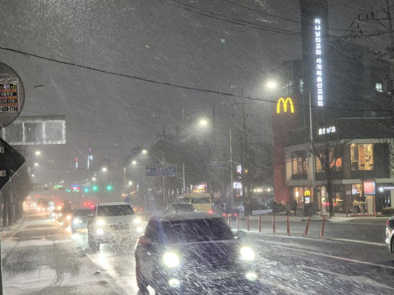 경기 대부분 지역에 대설주의보가 발효된 4일 오후 남양주시 일대에 많은 눈이  내리고 있다.2025.12.04/뉴스1