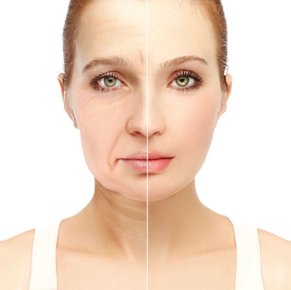 옥시토신과 Alk5 억제제 병용 시, 늙은 수컷 생쥐 수명이 70% 향상됐다. 사진=게티이미지코리아.