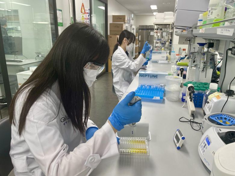 갤럭스의 서울 강서구 마곡동에 있는 신약개발실험실에서 연구원들이 설계된 항체를 실제 항체로 만들고 있다. 갤럭스 제공