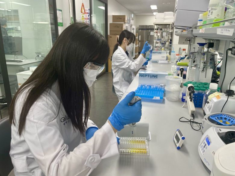 갤럭스의 서울 강서구 마곡동에 있는 신약개발실험실에서 연구원들이 설계된 항체를 실제 항체로 만들고 있다. 갤럭스 제공
