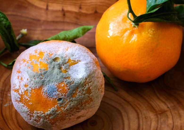 사진=게티이미지.