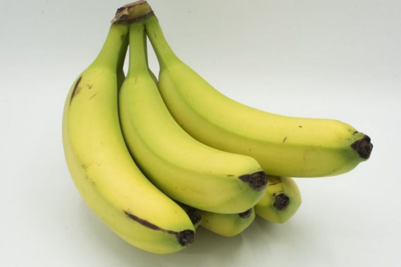 사진=게티이미지뱅크.