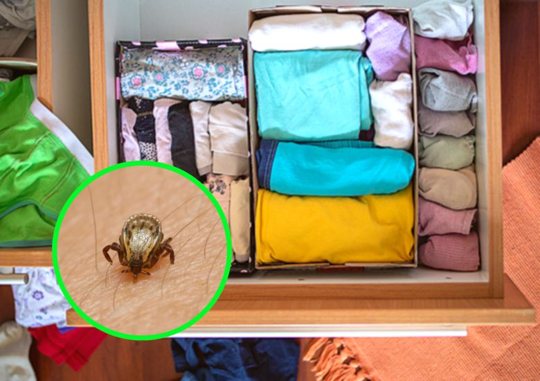 사진=게티이미지뱅크.