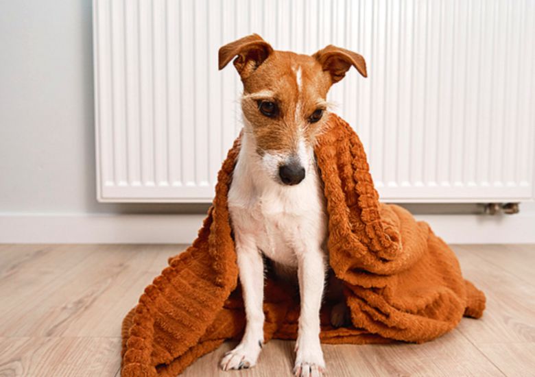 보일러 배관 내 이물질과 녹물은 난방 효율을 떨어뜨리는 주범이므로 2~3년 주기로 전문 업체를 통한 배관 세척이 권장된다. 사진=게티이미지뱅크.