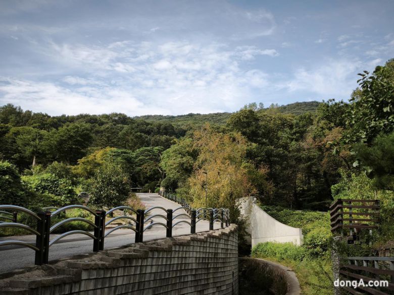 샤오미 15T 프로로 직접 찍은 사진.