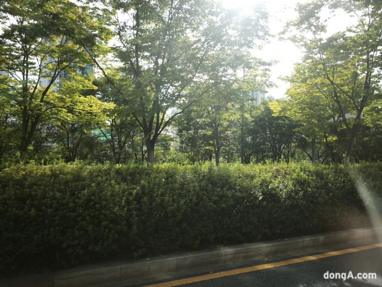 샤오미 15T 프로로 직접 찍은 사진.