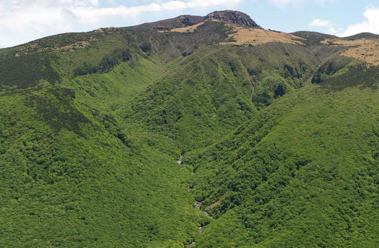 국가유산청 제공