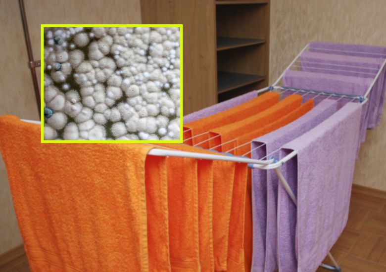 실내 빨래 건조는 습도를 높여 곰팡이 번식을 유발하고 호흡기에 중증 감염을 일으킬 수 있다. 건강을 위해 창가 환기와 제습기 사용을 병행하고, 의류 간격을 넓게 유지해 공기 순환을 원활하게 관리해야 한다. 사진=게티이미지뱅크.