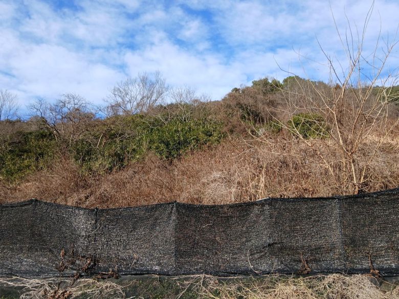 시민들이 모금한 기금으로 조성한 무등산 공유화 부지 8곳 가운데 한 곳인 광주 동구 운림동 동적골 인근 산림 전경. 무등산보호단체협의회 제공