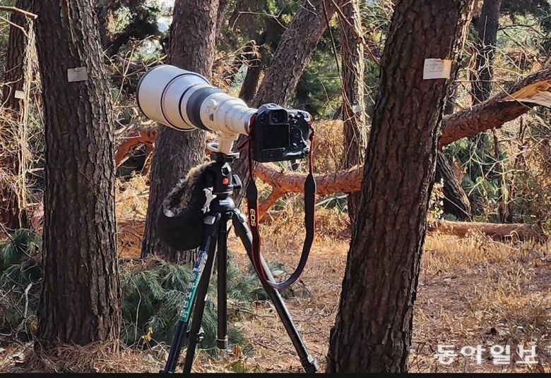 한남동 윤석열 대통령 사저를 찍기 위해서 남산에서 800미리 렌즈가 사용되었다. 가까이 갈 수 없을 때, 기록은 이 거리에서 시작된다. 전영한 기자