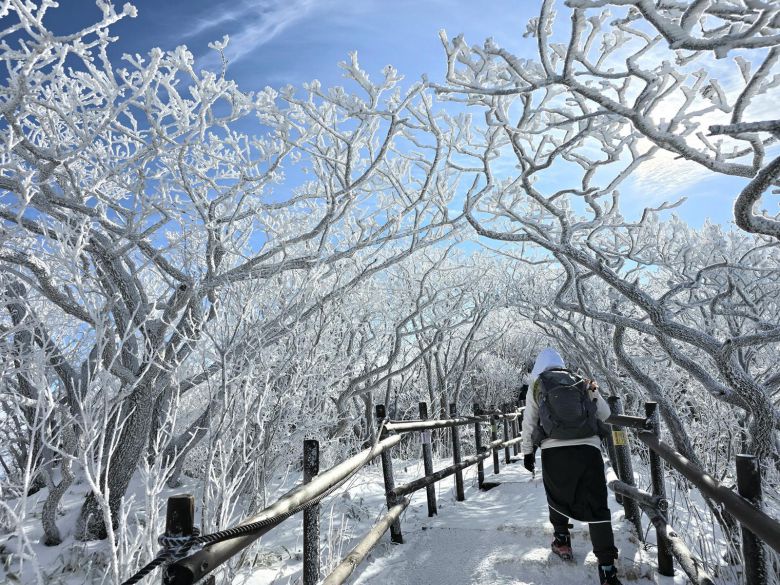 지난해 12월 31일 오후 전북 무주군 덕유산 향적봉 인근에서 등산객이 눈꽃 터널 사이로 지나가고 있다.(덕유산국립공원사무소 제공. 재판매 및 DB금지) 2025.12.31/뉴스1