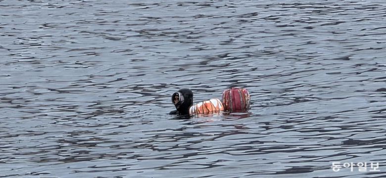 해녀의 물질. 포항=김선미 기자 kimsunmi@donga.com