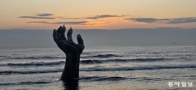 일출 직전 상생의 손 위에 갈매기들이 날아 앉았다. 포항=김선미 기자 kimsunmi@donga.com