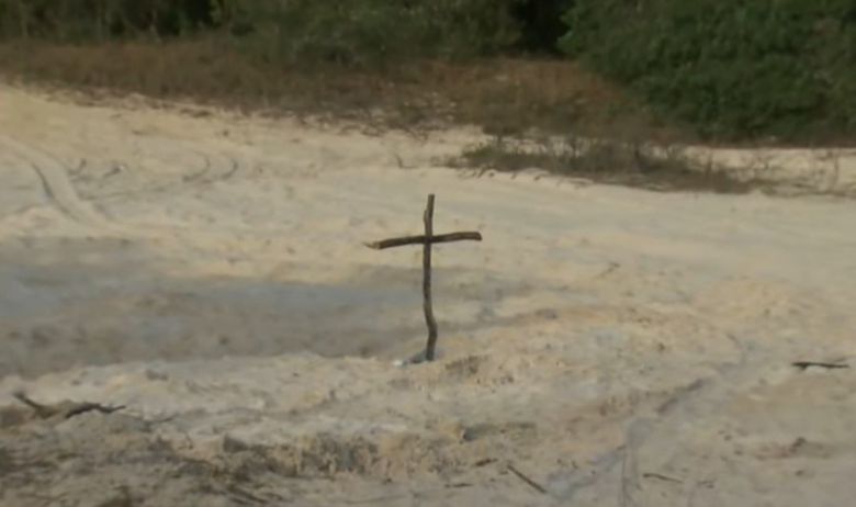 WFLA News Channel 8 보도 영상 갈무리