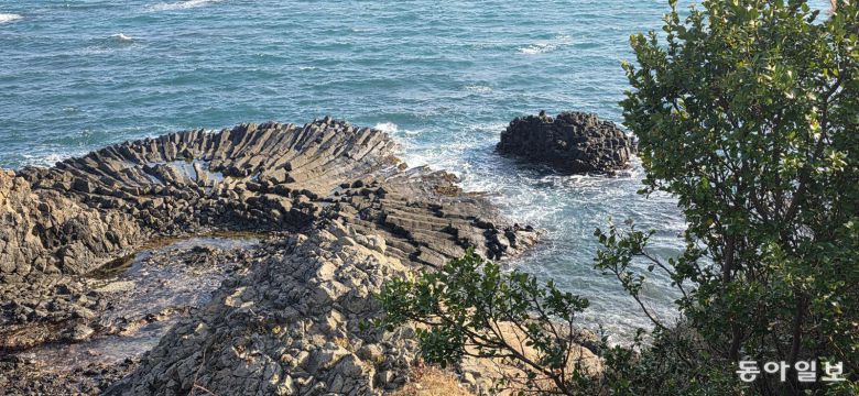 경주양남주상절리군 중 부채꼴 주상절리. 경주=김선미 기자 kimsunmi@donga.com