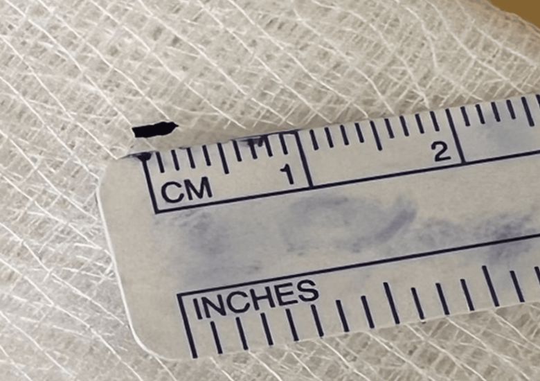 사진=큐리어스 캡쳐