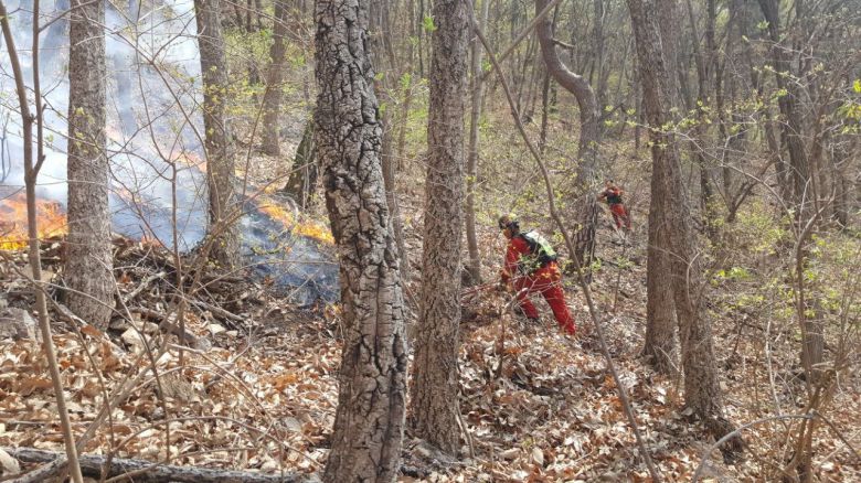 21일 오후 3시 31분 전남 광양시에서 산불이 발생해 관계 당국이 진화 중이다. 산림청