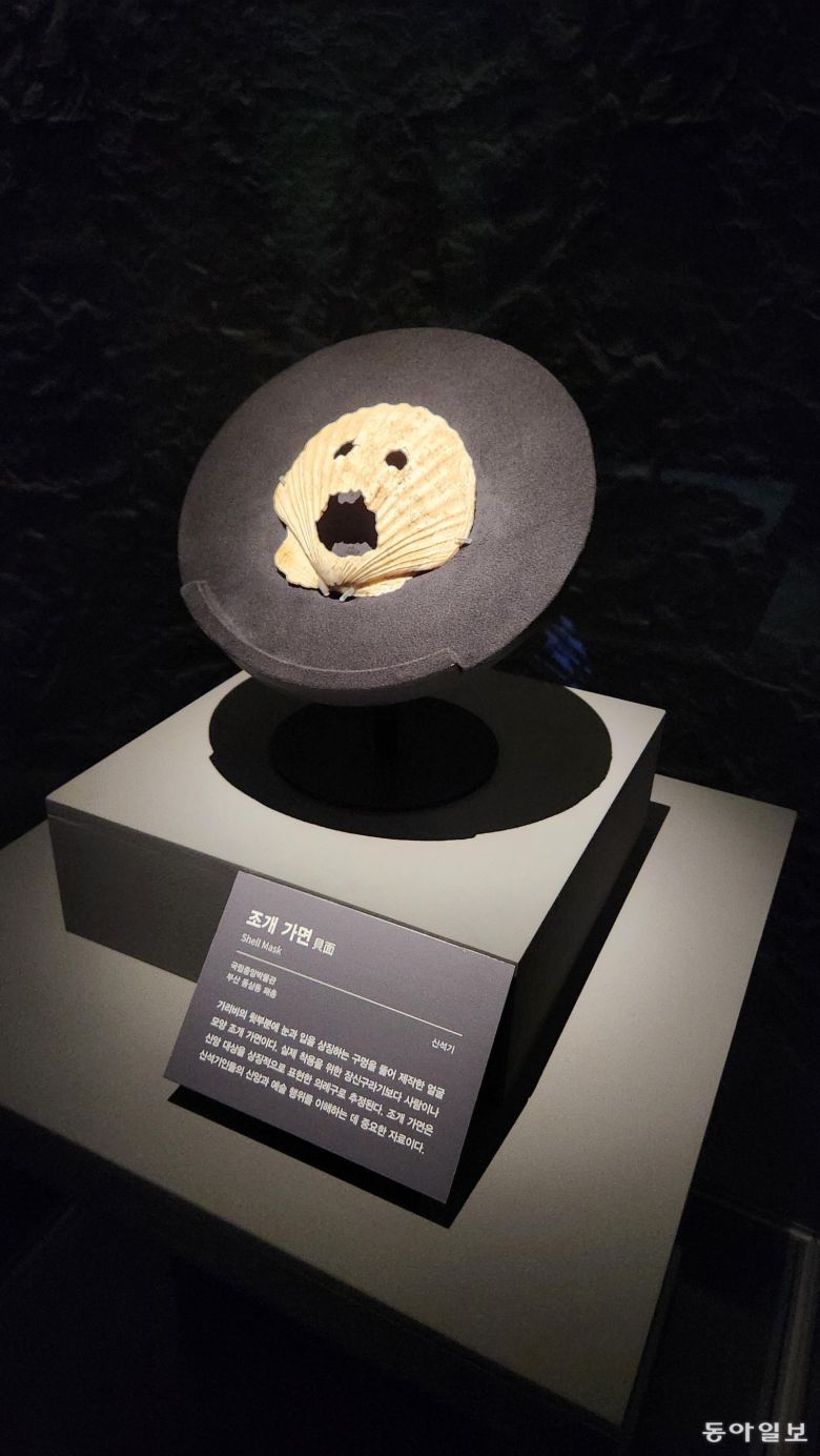 부산 동삼동 패총에서 출토된 가리비 가면 모습. 김화영 기자 run@donga.com