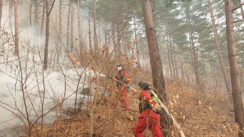 21일 오후 3시 31분 전남 광양시에서 산불이 발생해 관계 당국이 진화 중이다. 산림청