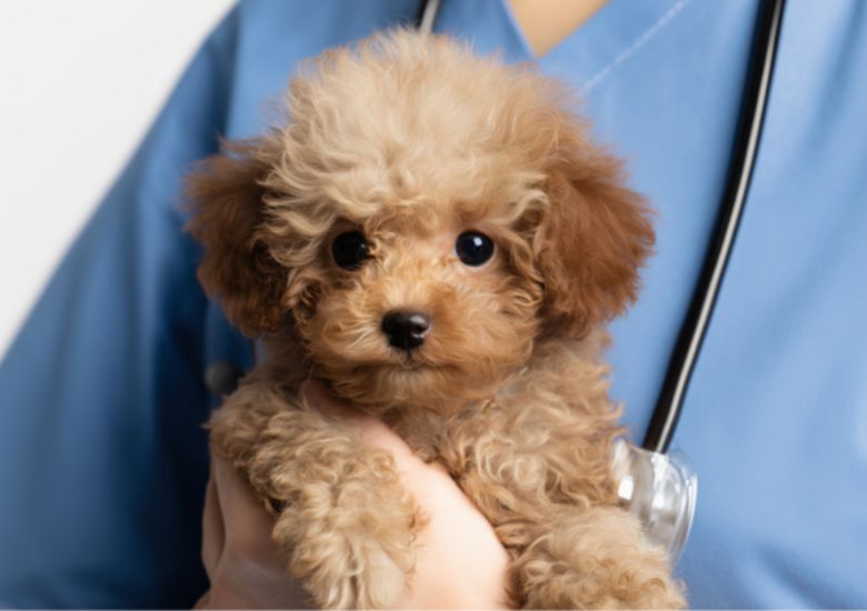 사진=게티이미지뱅크.