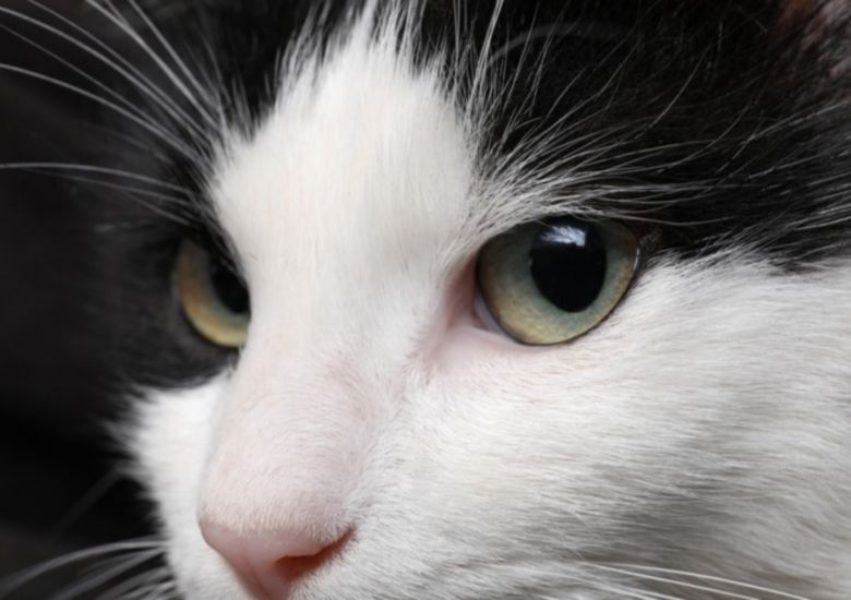 사진=게티이미지